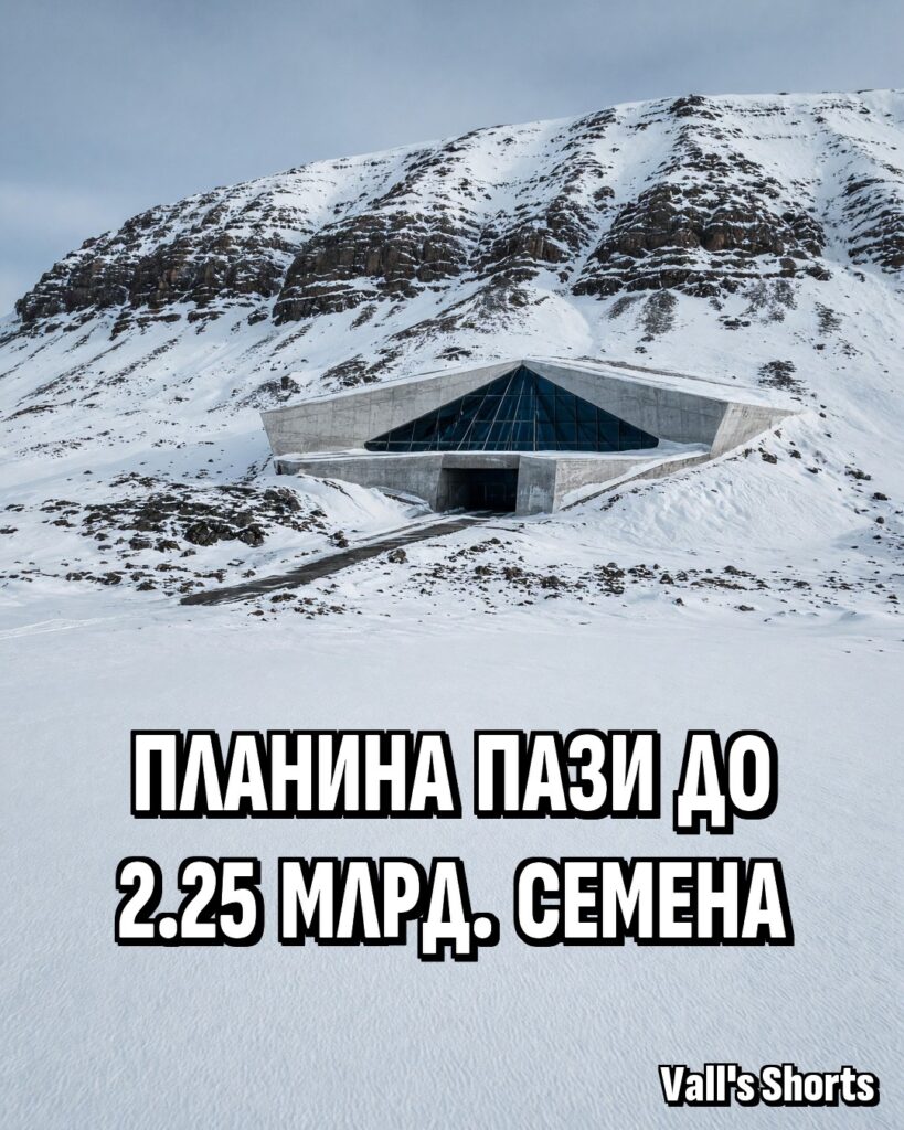 Бетонният вход на хранилището за семена, врязан в заснежен планински склон на Шпицберген – илюстрация