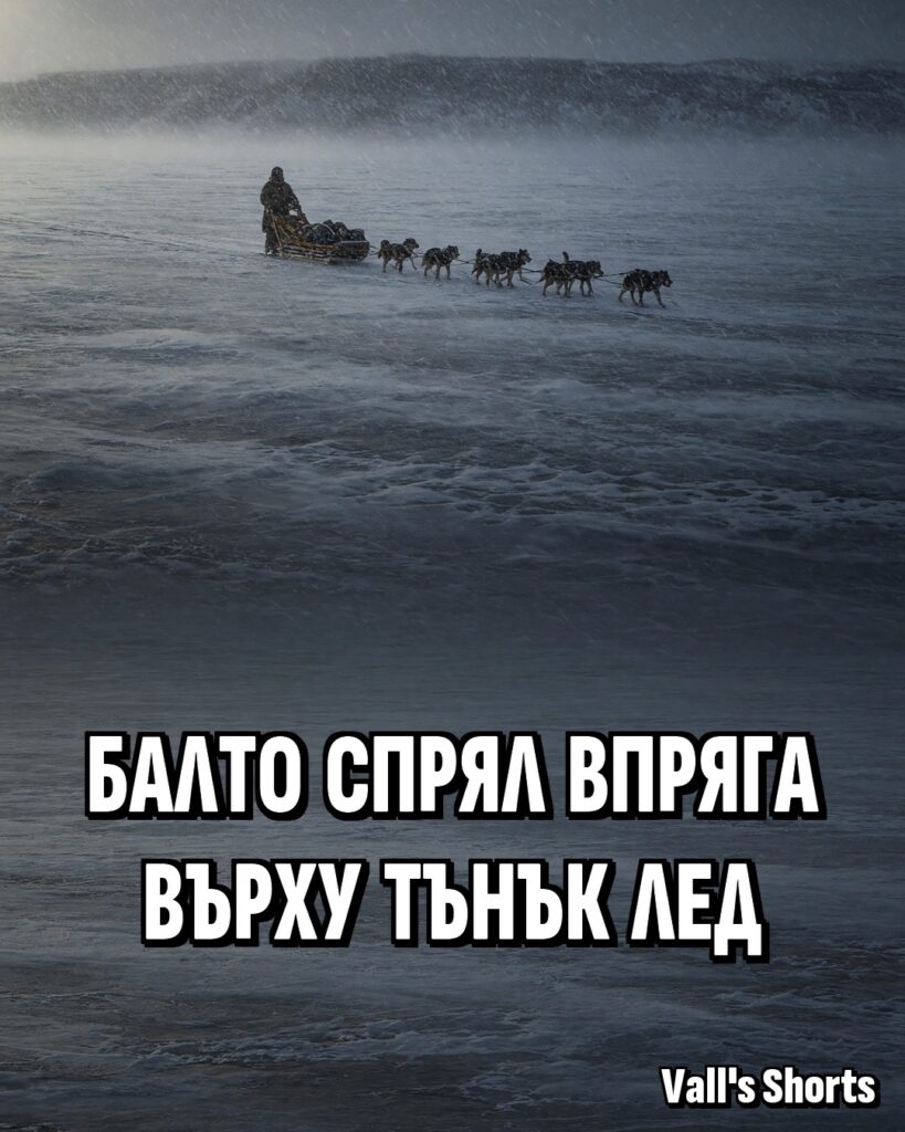 Балто спрял впряга върху тънък лед