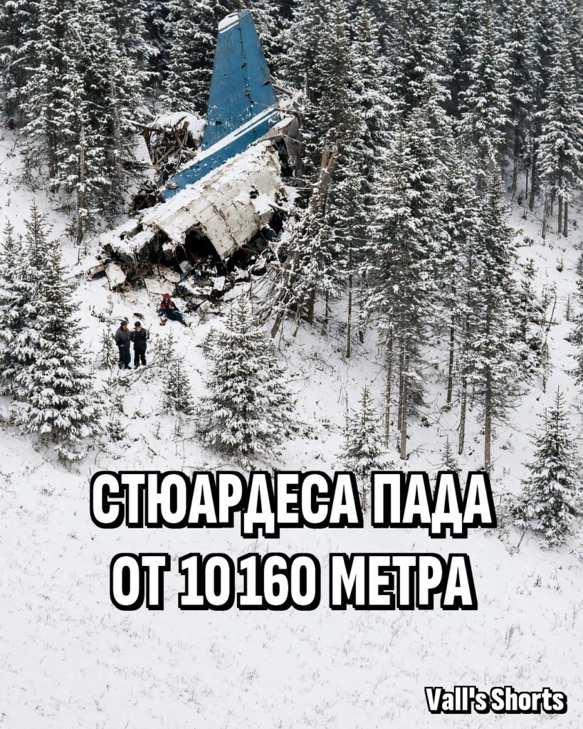 Отломки от самолет в заснежена гора, край които спасители помагат на оцеляла стюардеса – илюстрация