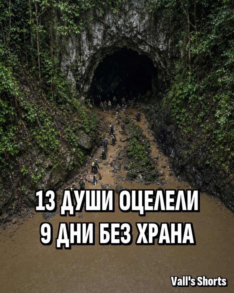 Входът на тропическа пещера в джунглата, пред който спасители пренасят оборудване – илюстрация
