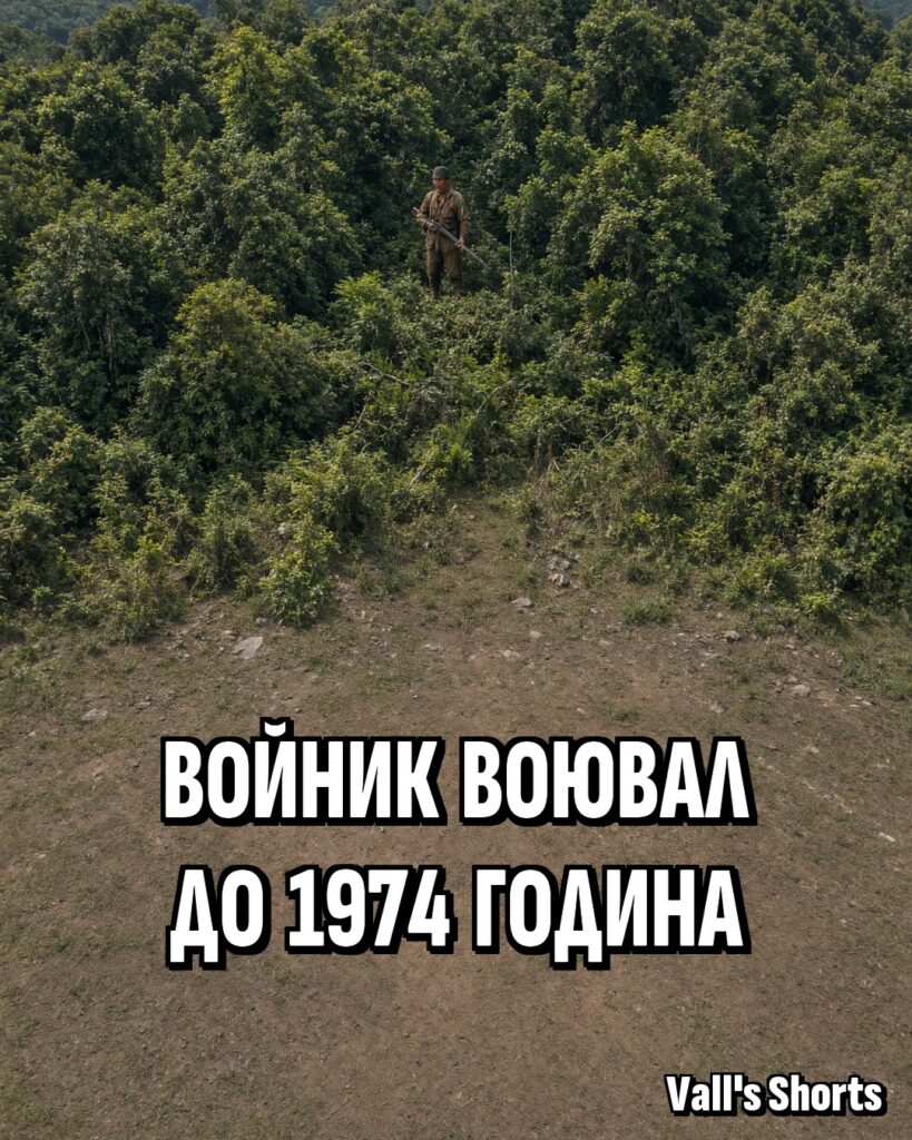 Самотен войник в стара униформа сред гъстата джунгла на тропически остров – илюстрация