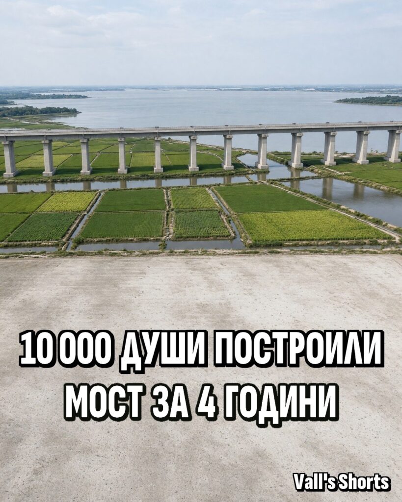 Дълга бетонна железопътна естакада на високи опори над зелени оризища и вода – илюстрация